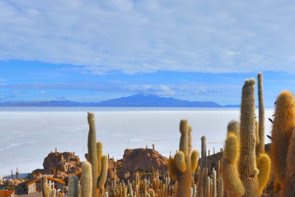 Salar de Uyuni