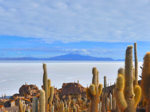 Salar de Uyuni
